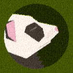 sleepy ferret side profile of a sleeping ferret with panda patterning